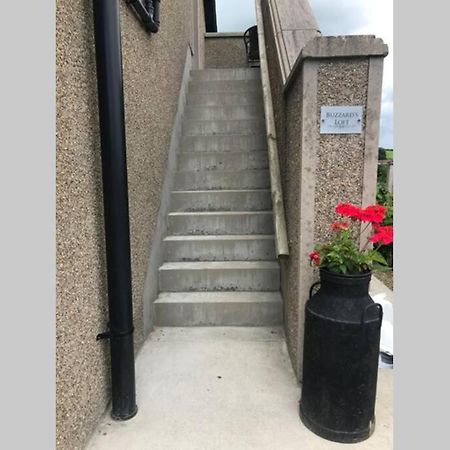Apartament Buzzards Loft Poyntzpass Zewnętrze zdjęcie